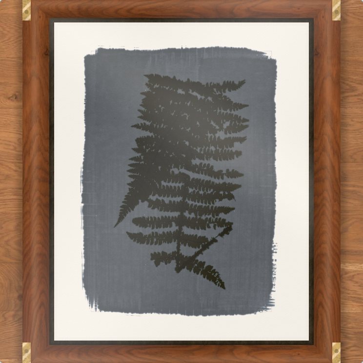 the sheet in the contact frame with a pressed fern under the glass