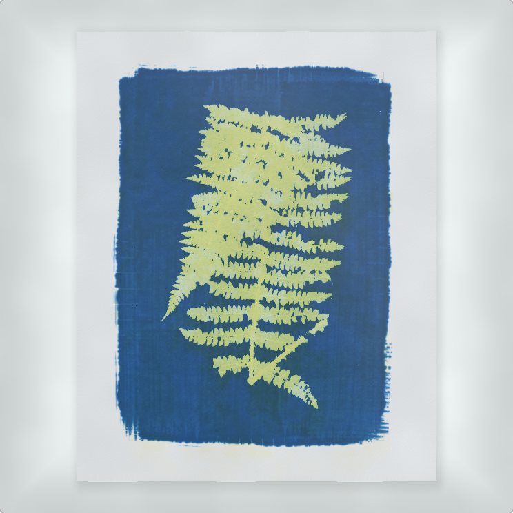 the print in a tray of water, the yellow rinsing out